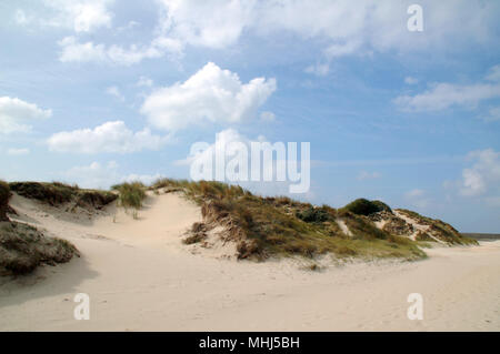 Plage des dunes, cultivé avec de l'herbe, sur une plage de la mer du Nord à Texel. Island en Hollande. L'Europe. Banque D'Images