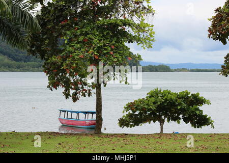 Souther Golfito Costa Rica Banque D'Images