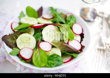 Salade Mixte avec bébé feuilles de laitue rouge, tatsoi, roquette, red Chard, de radis et de concombre avec l'huile d'olive et vinaigre balsamique vinaigrette en bac blanc Banque D'Images