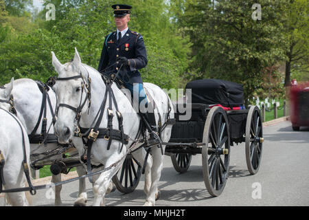 WASHINGTON D.C., USA - Mai 2, 2014 - US Army funérailles marines au cimetière d'Arlington : coffin sur l'entraîneur de chevaux Banque D'Images