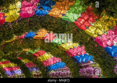 Un parasol et à l'abri de pique-nique floral Jardins Miracle à Dubaï (Émirats arabes unis, au Moyen-Orient. Banque D'Images