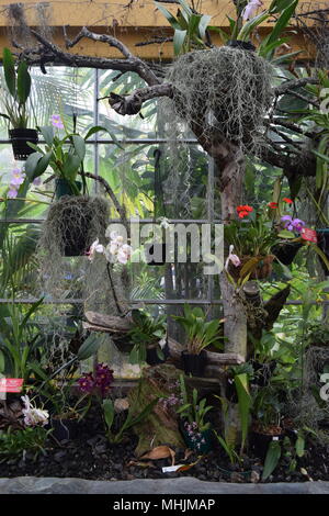 Visite au Jardin botanique de Bogotá Banque D'Images