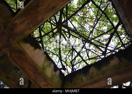 Visite au Jardin botanique de Bogotá Banque D'Images