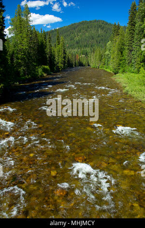 Colt tué Creek, Lewis et Clark National Historic Trail, Clearwater National Forest, North Carolina Banque D'Images