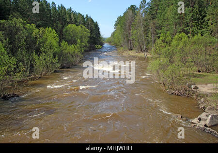 Image paysage de rivière petit et rapide porte son eau entre les arbres et buissons, vert et bleu ciel sans nuages là-bas Banque D'Images