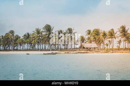 Île magnifique plage avec des palmiers et de huttes de chaume sur la côte Banque D'Images