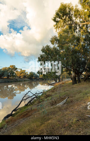 Bourke, New South Wales, Australie. Darling River au lever du soleil près de Bourke dans le nord-ouest de la Nouvelle-Galles du Sud. Banque D'Images