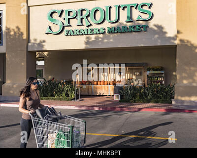 Irvine, Californie, USA. 1 octobre, 2017. Marché des producteurs de graines germées, Inc. est une chaîne de supermarchés américaine basée à Phoenix, Arizona, USA. Les magasins sont plein-service et mettre l'accent sur les aliments biologiques, y compris les produits frais, les aliments en vrac, les vitamines et suppléments, emballé d'épicerie, de la viande et des fruits de mer, la charcuterie, les produits de boulangerie, produits laitiers, surgelés, des produits de soins du corps et des articles ménagers. La chaîne a été créée pour répondre à la demande croissante des consommateurs en santé et bien-être. Les graines germées emploie plus de 27 000 personnes et exploite plus de 280 magasins dans 15 états d'un océan à l'autre, principalement Banque D'Images