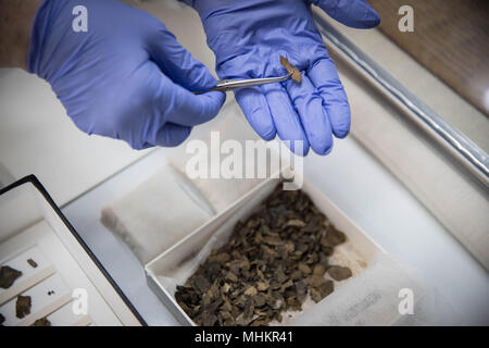 Jérusalem. 2 mai, 2018. L'Autorité israélienne des antiquités (IAA) membre du personnel présente des fragments d'un script à l'IAA ministère dans le musée d'Israël à Jérusalem, le 2 mai 2018. La technologie d'imagerie avancée initialement développé pour la NASA a révélé auparavant inaperçu écrit sur des fragments de la Mer Morte, l'AAI a révélé mardi. Par ailleurs, l'un des nouveaux passages déchiffrés et discerné, écrit au début de l'hébreu, l'allusion à l'existence d'une banderole jamais trouvé et encore inconnu pour les chercheurs. Source : Xinhua/JINI/Alamy Live News Banque D'Images