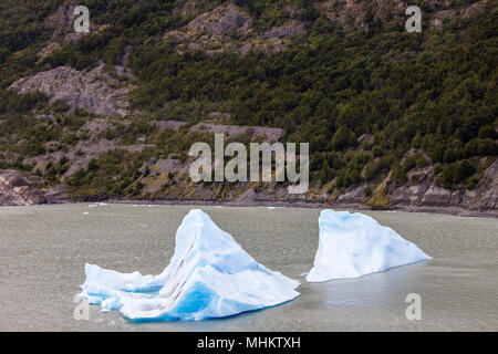 Des morceaux de glace qui s'est du glacier, lac Grey, Parc National Torres del Paine, Patagonie, Chili Banque D'Images