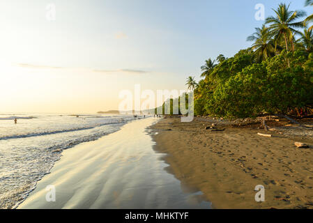 Coucher du soleil à Paradise beach à Uvita, Costa Rica - belles plages et la forêt tropicale à la côte pacifique du Costa Rica - travel destination dans une centrale Banque D'Images