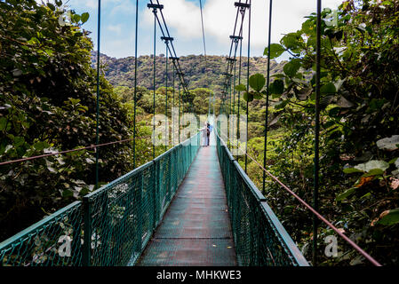 Des ponts suspendus dans la Cloudforest - Monteverde, Costa Rica Banque D'Images