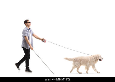 Profil de toute la longueur d'un jeune homme aveugle marche avec l'aide d'un chien isolé sur fond blanc Banque D'Images