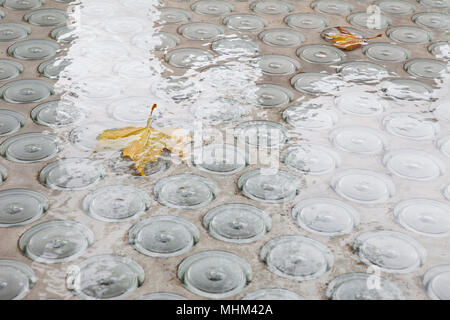 Deux feuilles mortes flottant dans une fontaine avec des réflexions Banque D'Images