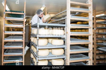 Fromage Lyburn - Hampshire alimentaire Artisan Banque D'Images