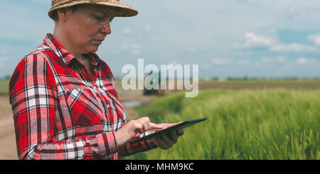 Responsable de l'agriculture intelligente, l'utilisation de la technologie moderne dans la production agricole, agricultrice agronome avec tablette numérique à l'aide de l'ordinateur mobile app Banque D'Images