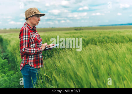 Farmer using digital tablet in wheat crop field, concept de l'agriculture intelligente moderne responsable par l'aide d'appareils électroniques Banque D'Images