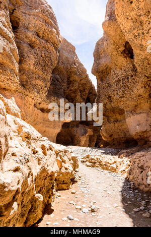 Canyon de Sesriem, un canyon naturel sculpté par le rivier Tsauchab dans la roche sédimentaire, la Namibie Banque D'Images