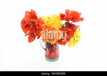 Nature morte avec fleurs tulipe pivoine Banque D'Images