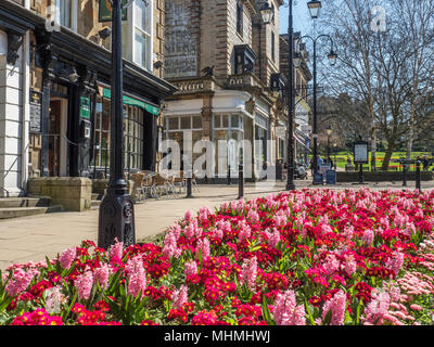 Montpellier trimestre au printemps Harrogate North Yorkshire Angleterre Banque D'Images