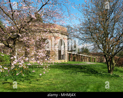 Fleur de printemps sur la terrasse bien exposée de Valley Gardens Harrogate North Yorkshire Angleterre Banque D'Images