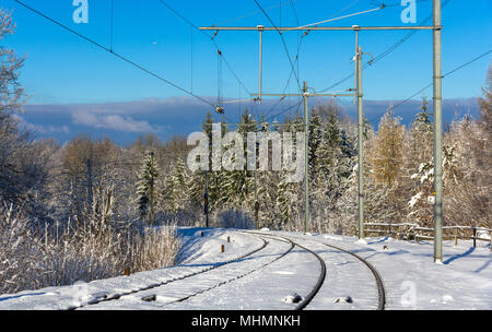 S-Bahn de Zurich sur la montagne Uetliberg - Suisse Banque D'Images