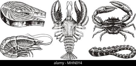 Les Crustacés, crevettes, homard ou écrevisse, Pavé de saumon, crabe aux pinces. Rivière et lac ou les créatures de la mer. Aquarium d'eau douce. Fruits de mer pour le menu. Dessinés à la main, gravée en vintage croquis. Illustration de Vecteur