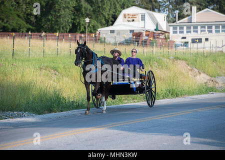 LANCASTER, États-Unis - 25 juin 2016 - Amish en Pennsylvanie. Amish sont connus pour une vie simple avec touche de nature contacy, robe simple, et relucta Banque D'Images