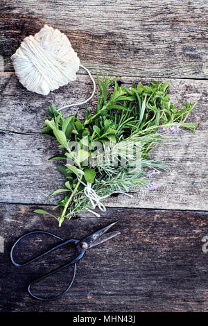 Herbes biologiques frais liés ensemble dans un paquet avec des ciseaux. Banque D'Images