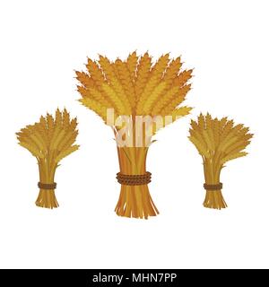 Gerbes de blé sur fond blanc. Style de dessin animé. Illustration de Vecteur