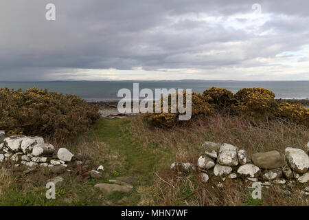 Les chemins de campagne de Dumfries & Galloway Luce Bay Wigtownshire Banque D'Images