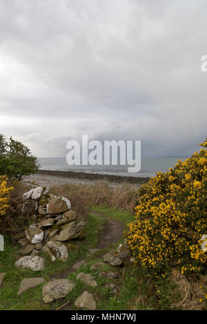 Les chemins de campagne de Dumfries & Galloway Luce Bay Wigtownshire Banque D'Images