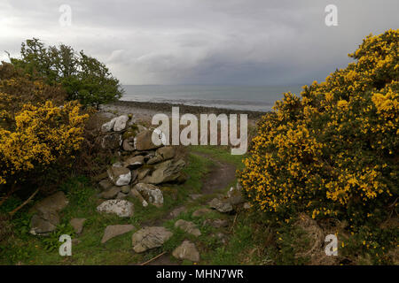 Les chemins de campagne de Dumfries & Galloway Luce Bay Wigtownshire Banque D'Images