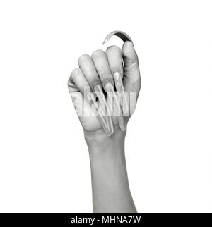 Le moyen format argentique shot. Noir et blanc portrait d'un homme avec une extrême le poing de longs ongles contre l'arrière-plan blanc. Banque D'Images