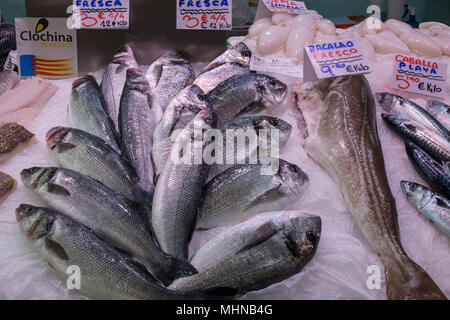 Poisson frais pour la vente au marché Mercado Central, au nord du district de Ciutat Vella, Valence, Espagne. Banque D'Images