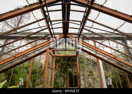 Vue intérieure détaillée des pans de bois à température contrôlée vert verre maisons de la Cambridge Jardin botanique, avec des plantes tropicales, Cambridge, Banque D'Images