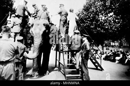 Promenade à dos d'éléphant au zoo de Londres Banque D'Images