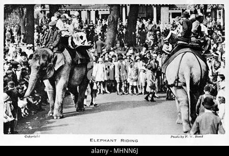 Promenade à dos d'éléphant au zoo de Londres Banque D'Images