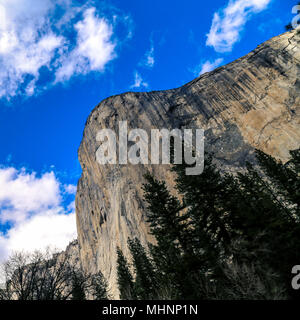 El Capitan dans le Parc National de Yosemite Banque D'Images