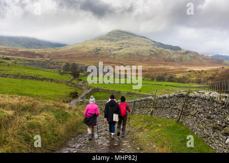 Les promeneurs sur un chemin non goudronné lane près de Torver avec le vieil homme de Coniston au-delà dans le Parc National du Lake District, Cumbria, Angleterre. Banque D'Images