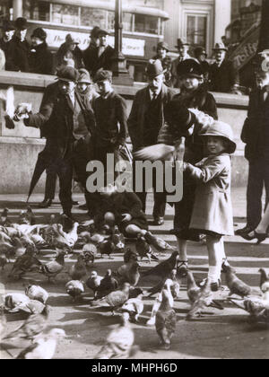 Nourrir les pigeons, Trafalgar Square, Londres Banque D'Images