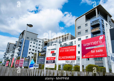 De nombreuses enseignes des agents immobiliers de propriétés à vendre et louer en dehors des grands blocs d'appartements modernes à Western Harbour à Leith, Édimbourg, Sco Banque D'Images