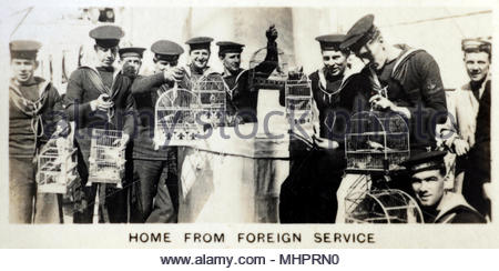 Retour d'un voyage à la Méditerranée, des canaris en cage avec des marins britanniques ramenés d'Espagne 1920 Banque D'Images