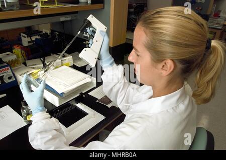 Centres de contrôle des maladies de la méningite et d'agents pathogènes spéciaux (MSPB), microbiologiste, Renee Galloway, l'exécution d'une électrophorèse sur gel en champ pulsé (PFGE) essai d'analyse, 2005. Image courtoisie Centres for Disease Control (CDC) / Maryam I. Daneshvar. () Banque D'Images