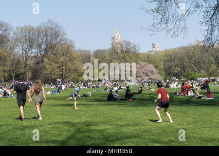 Les personnes bénéficiant d'activités de loisirs au pré des moutons dans Central Park, NYC, USA Banque D'Images