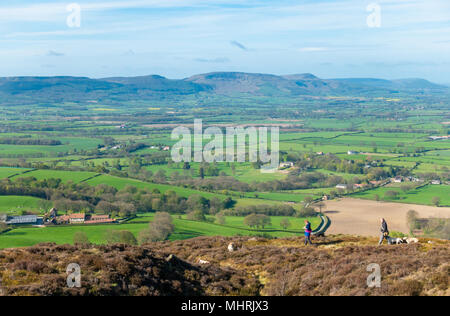 Dog Walkers sur Moor d'Easby, North York Moors National Park, North Yorkshire, Angleterre. UK. Cleveland Hills à distance. Banque D'Images