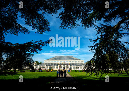 Londres, Royaume-Uni. 3e mai 2018. Récemment rénové, l'Europe chambre à Kew Gardens à Londres Crédit : Andrew Hasson/Alamy Live News Banque D'Images