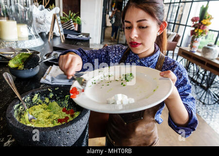 Mexico, hispanique, Centro historico, centre historique, El Balcon del Zocalo, restaurant restaurants restaurants repas café cafés, bar lounge pub, femme f Banque D'Images