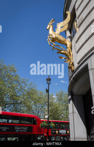 Le springbok ailé doré à l'extérieur de la côte orientale de l'Afrique, l'ambassade de la République d'Afrique du Sud, le 1er mai, à Trafalgar Square, Londres, Angleterre. C'est la Commission d'Afrique du Sud, autrefois l'ambassade de l'Union sud-africaine, construit entre 1931-1933 aux dessins et modèles par Sir Herbert Baker FRIBA et Alexander Scott Thomson. Banque D'Images