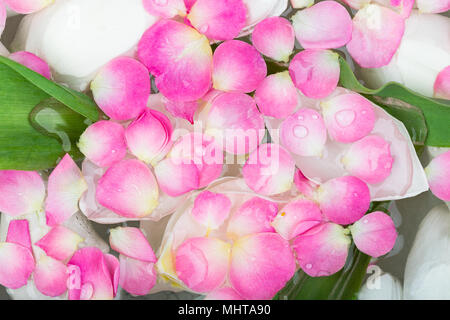Décoration, intérieur, spa concept soins. sur la surface de l'eau il y a quantité de pétales de roses de couleur rose vif, ils sont placés entre les feuilles de certaines plantes vert Banque D'Images